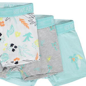 Lote de 7 boxers de punto con estampado de palmeras para niño 