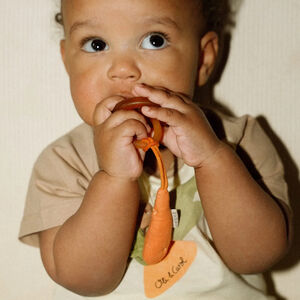 Chupetero Cathy The Carrot 