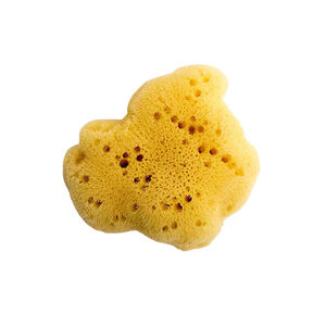 Esponja natural Fine Silk nº7 con cajita 