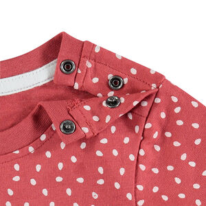 Lot de 3 t-shirts manches courtes en coton 