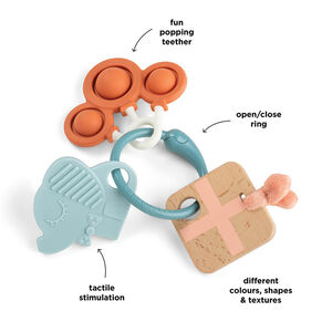 Juguete sensorial anillo de actividades Celebration 
