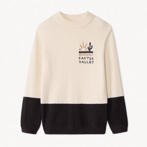 Jersey de punto fantasía efecto color block bordado para niño 