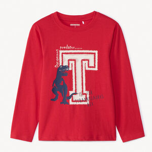 Camiseta de manga larga con estampado fantasía para niño 