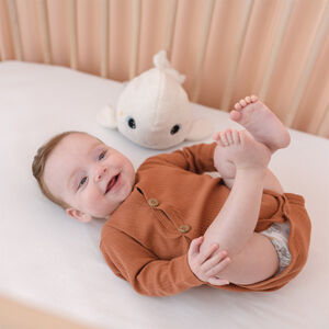 Béluga peluche veilleuse & bruits blancs 