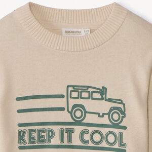 Jersey de punto estampado para niño 