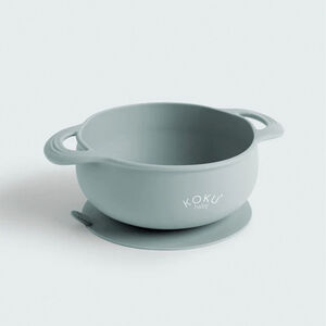 Bol con ventosa +6M Mint 