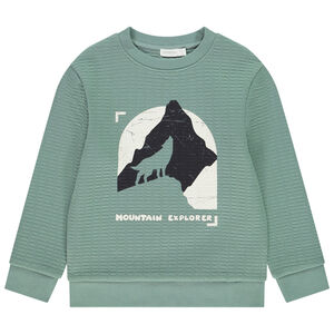 Sudadera de felpa texturizada con estampado para niño 