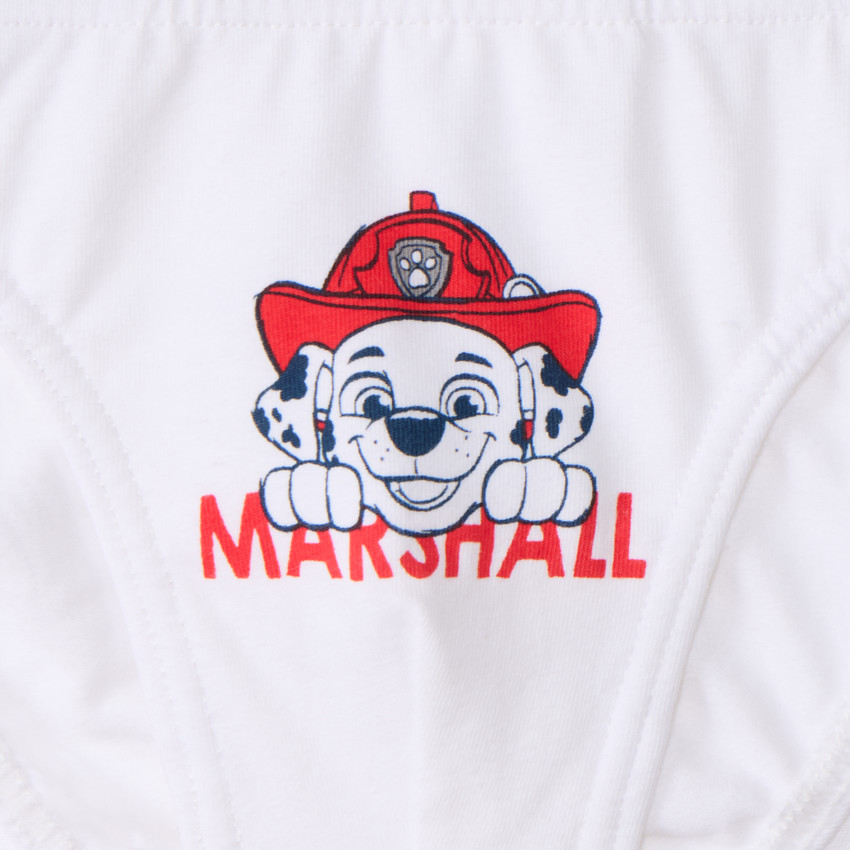 Lote de 3 slips estampados Pat