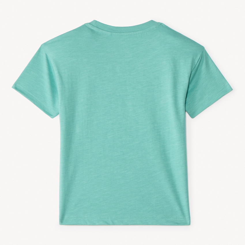 Camiseta de manga corta con estampado tropical fantasía para niño 