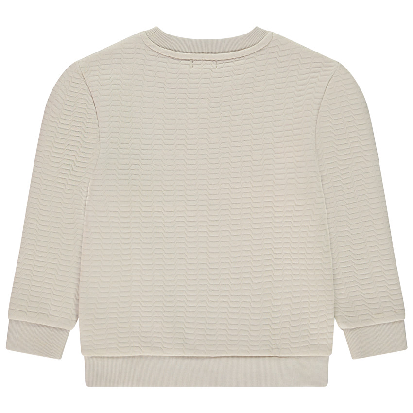 Sudadera de felpa texturizada con estampado para niño 