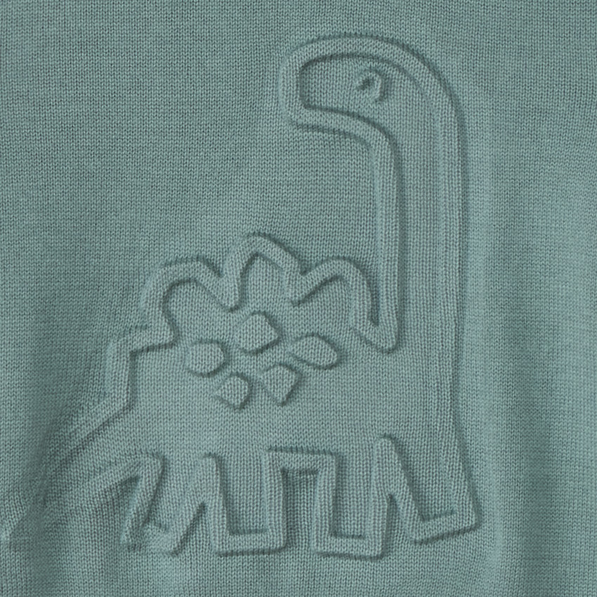Jersey de punto forrado con diseño de dinosaurio en relieve para niño. 