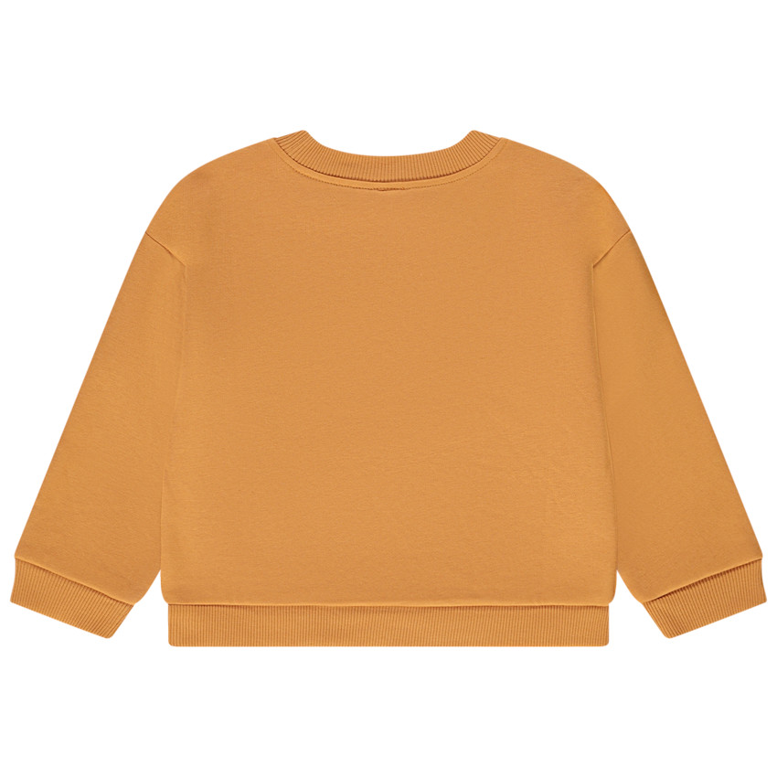 Sudadera oversize de felpa bordada para bebé niño 