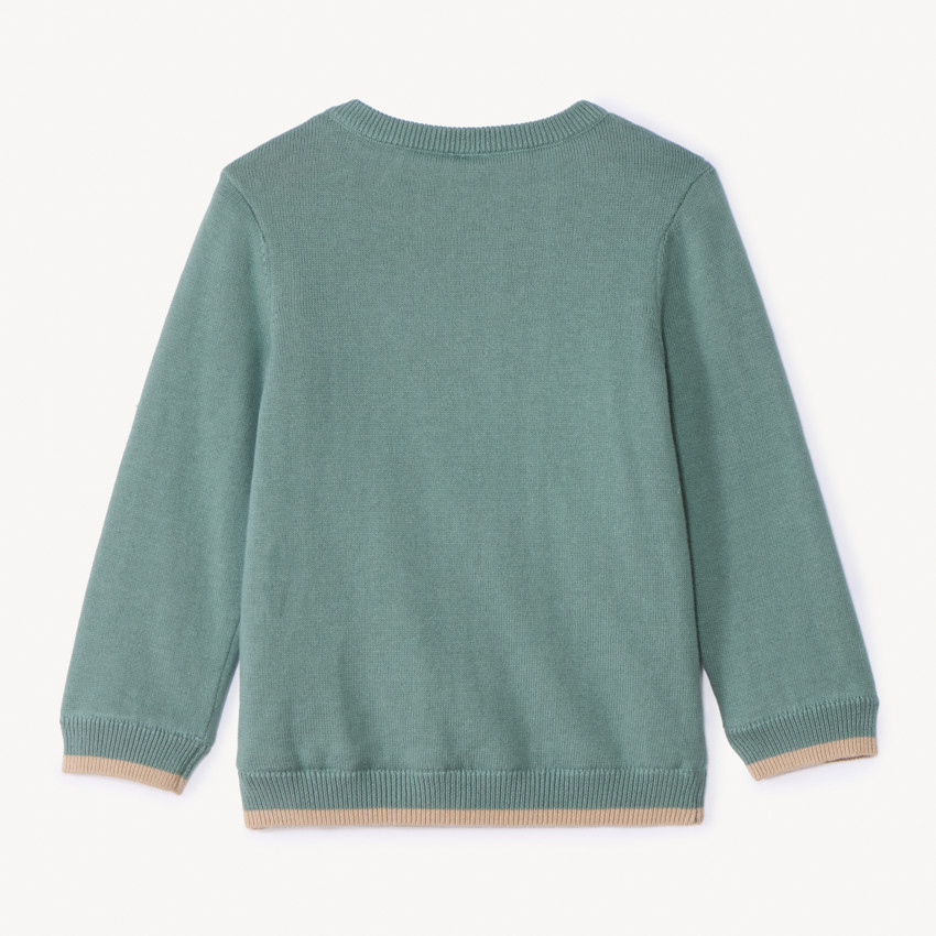 Jersey de punto forrado con diseño de dinosaurio en relieve para niño. 