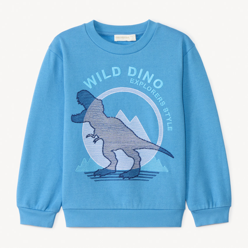 Sudadera de felpa bordada con motivo T-Rex para niño 