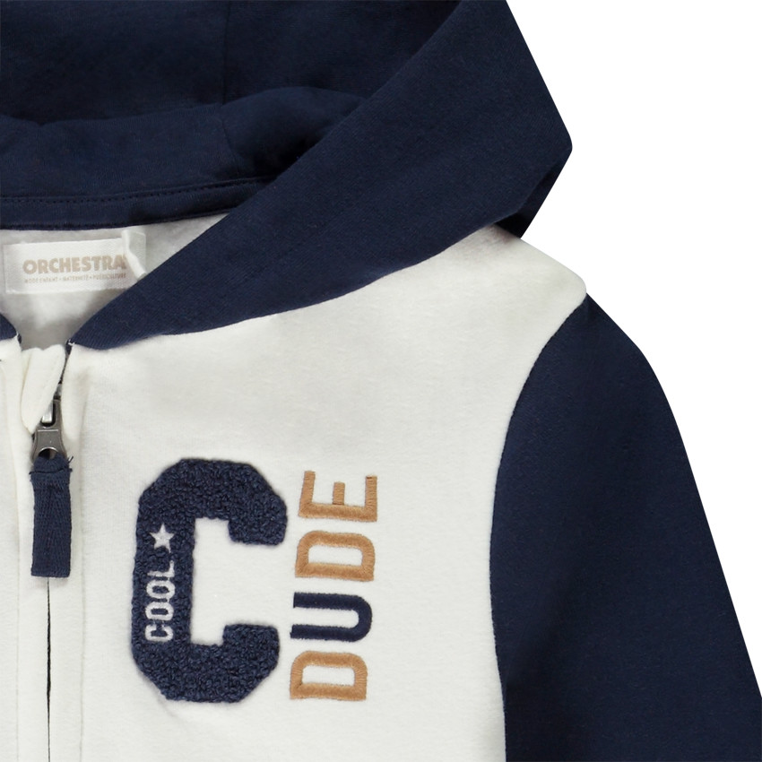 Gilet à capuche effet coloblock en molleton pour garçon 