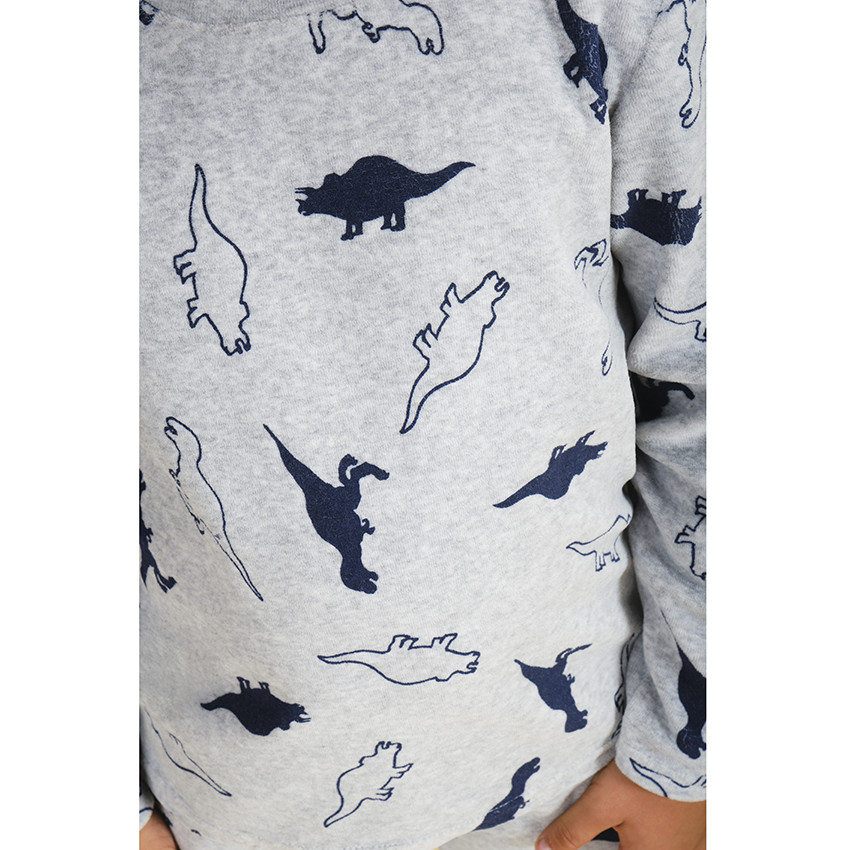 Pijama de terciopelo de 2 piezas para niño con estampado de dinosaurios 