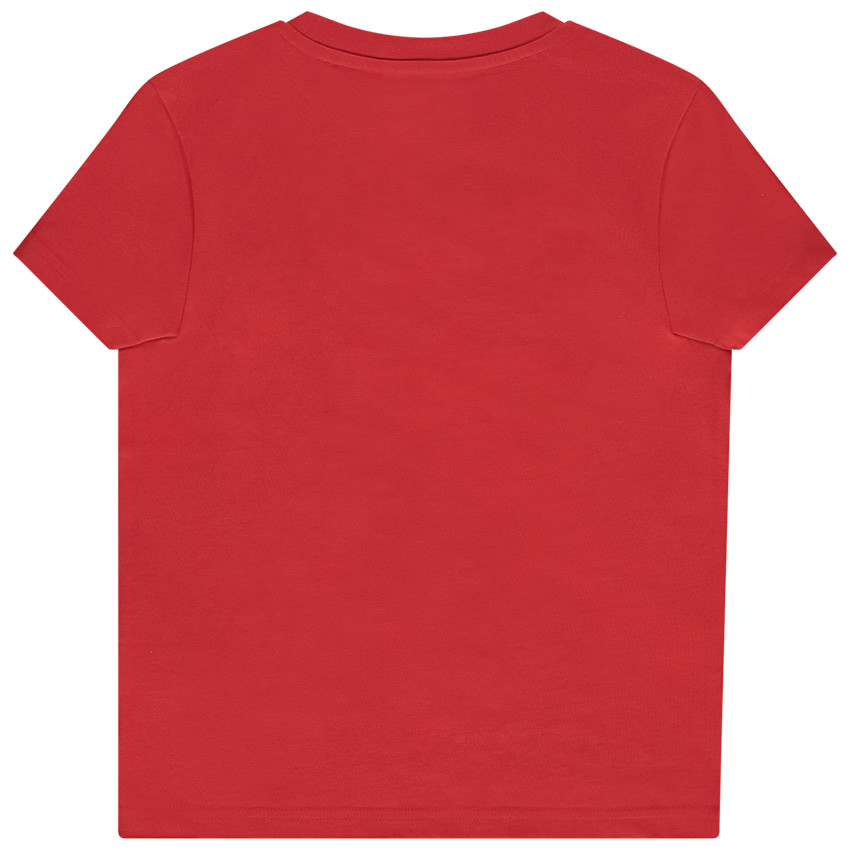 Camiseta manga corta estampado Piolín Warner para niño 