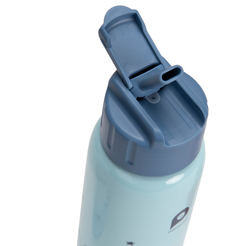 Gourde en métal avec paille 380 ml - Mes amis les dinos 