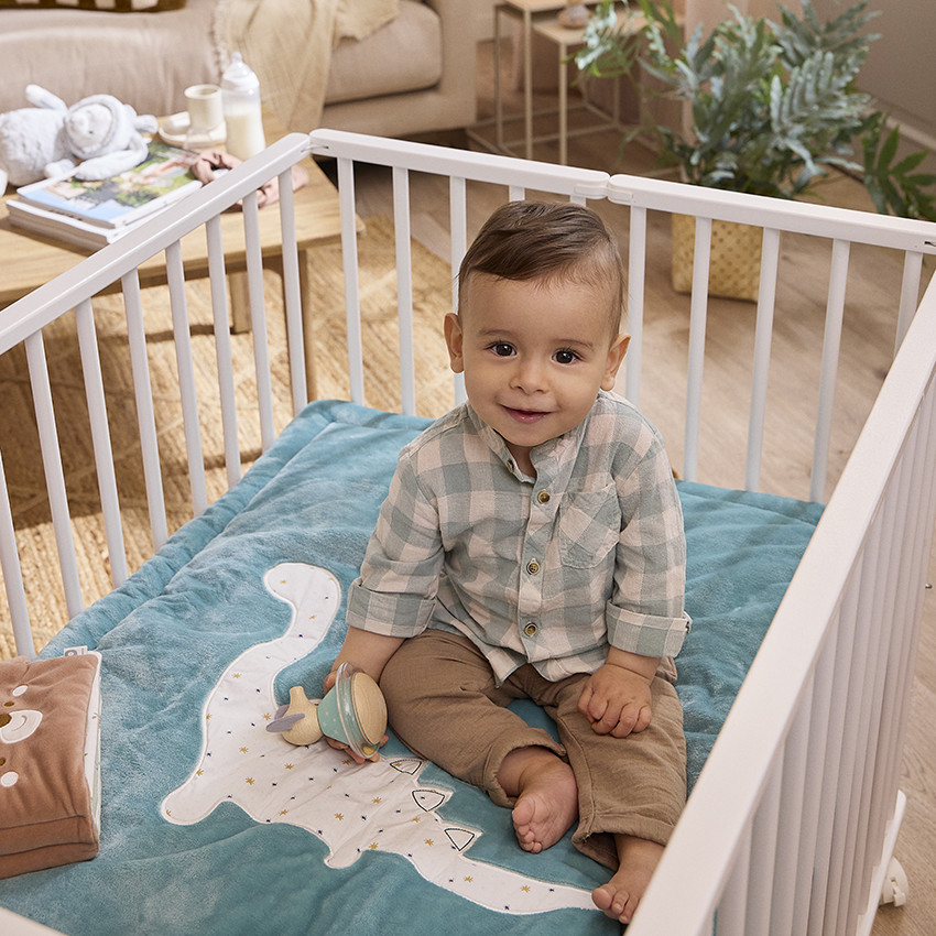 Alfombra de parque bicolor 70 x 95 cm con estampado de dinosaurios 