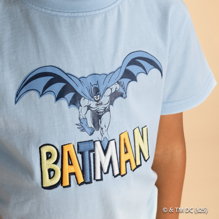 Camiseta manga corta Batman Warner para niño 