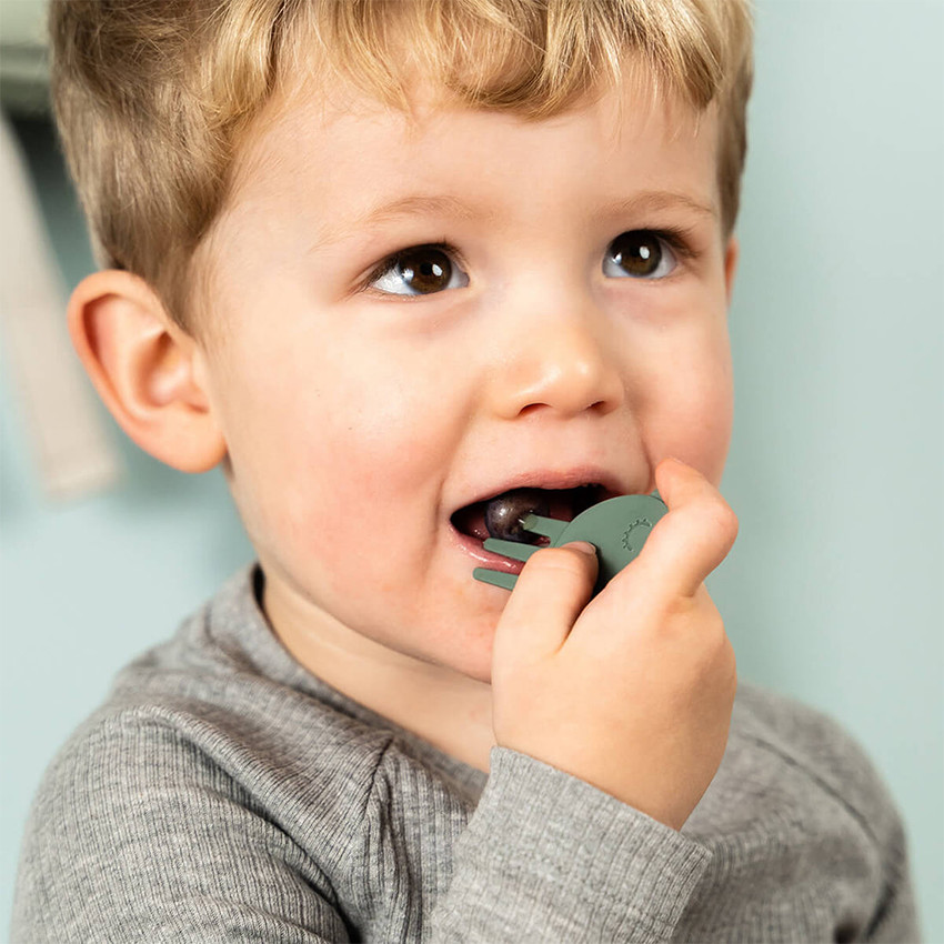 Snackbox avec piques snack Tiny Trails Vert 