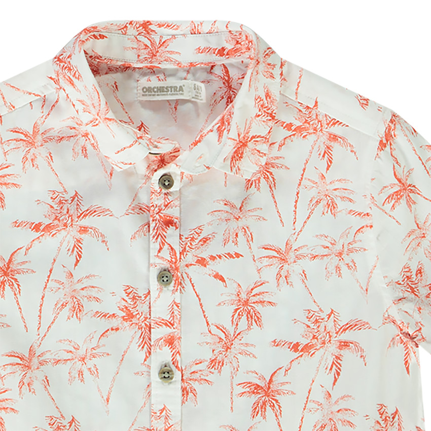 Camisa de manga corta de algodón con estampado de palmeras para niño 