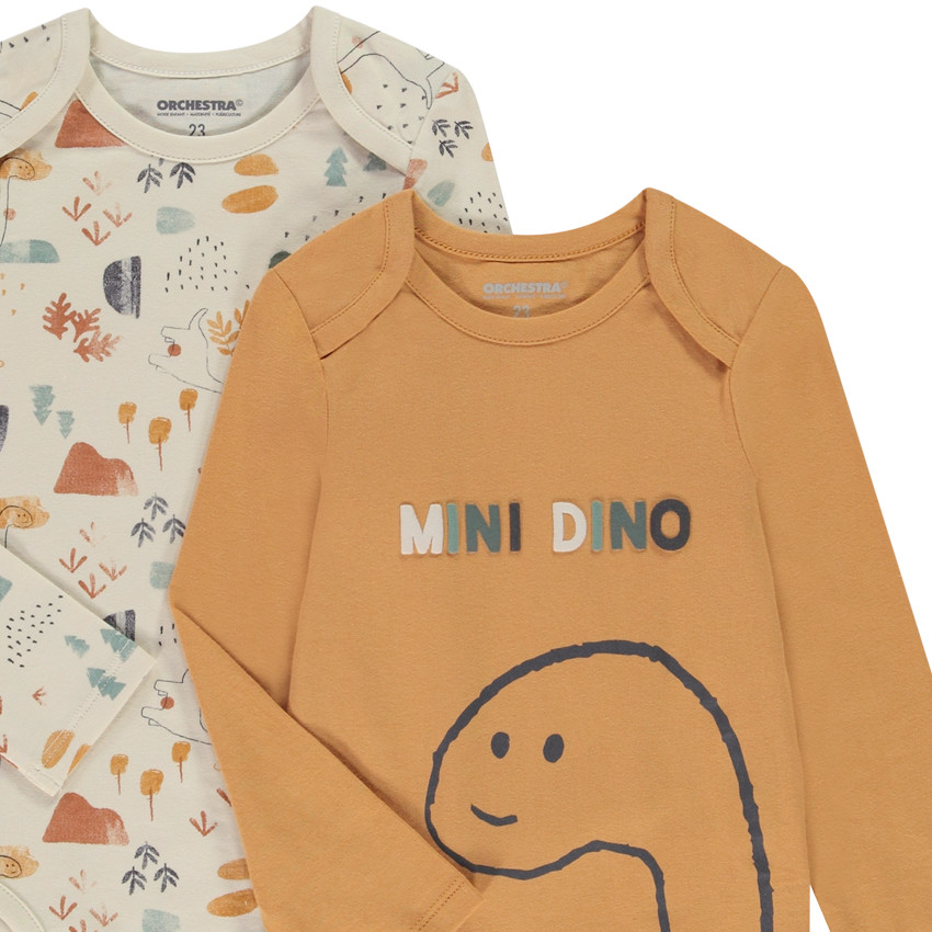 Pack de 5 bodies de manga larga con estampado de dinosaurios para bebé niño con diferentes aperturas según la edad. 