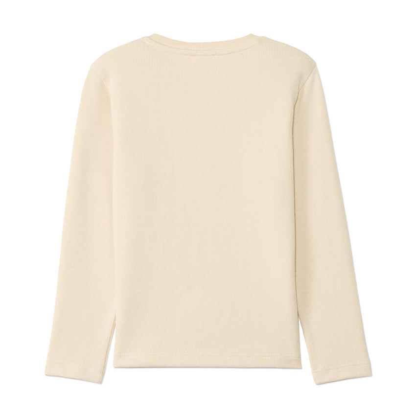 T-shirt manches longues broderie dinosaure pour garçon  