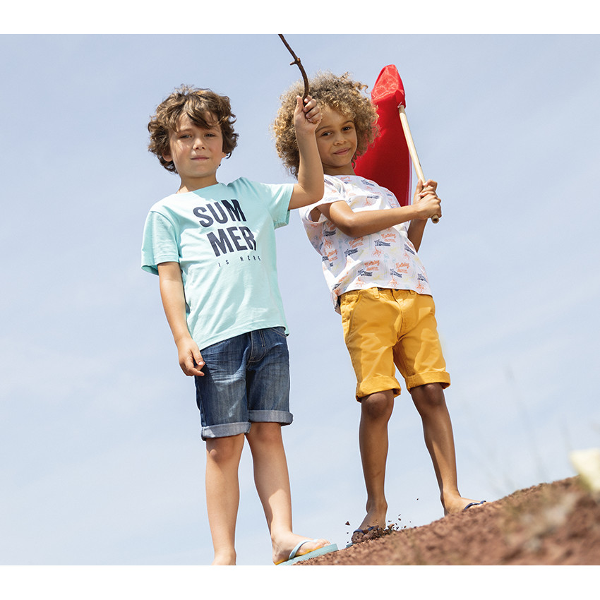 Lote de 2 camisetas de manga corta para niño 