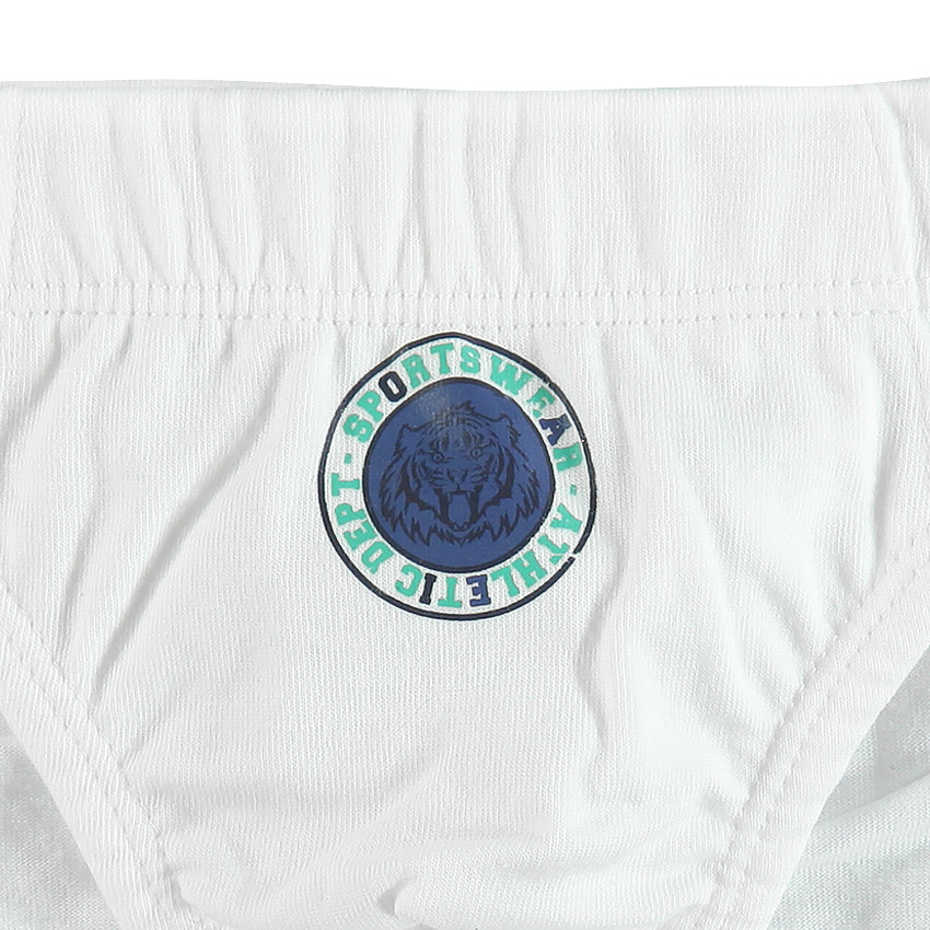 Lote de 7 slips de algodones lisos estampado fantasía 