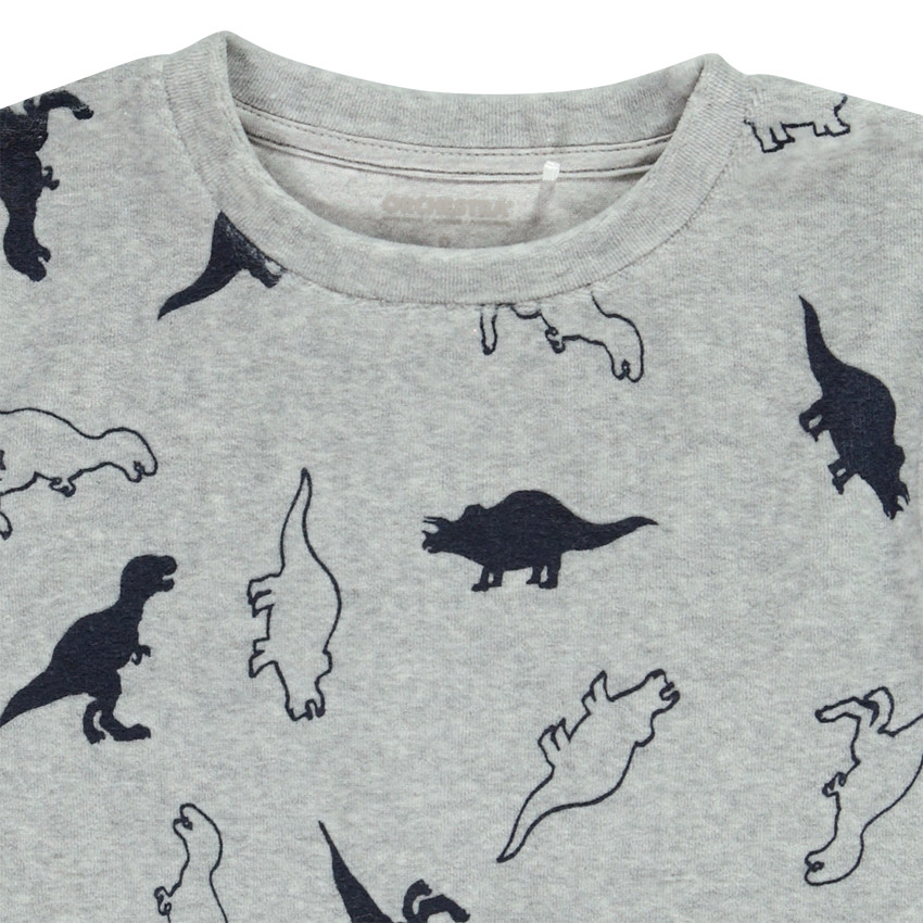 Pijama de terciopelo de 2 piezas para niño con estampado de dinosaurios 