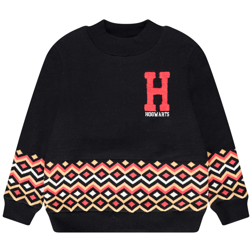 Pull en tricot print Harry Potter Warner pour garçon 