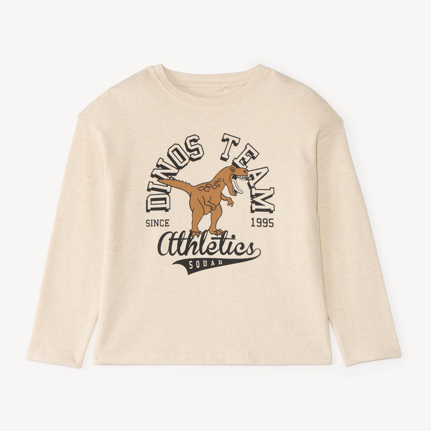 Camiseta de manga larga oversize para niño con estampado de dinosaurio 
