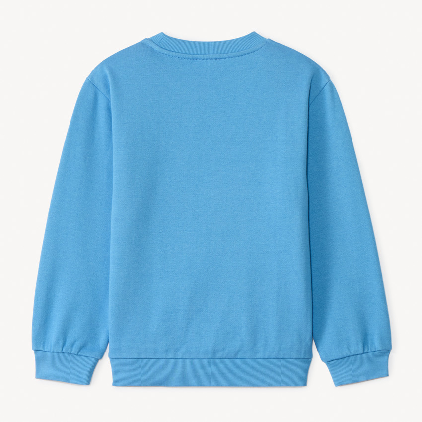 Sudadera de felpa bordada con motivo T-Rex para niño 