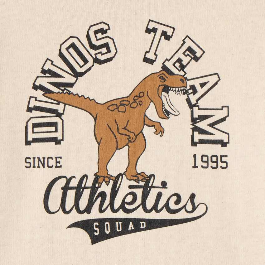 Camiseta de manga larga oversize para niño con estampado de dinosaurio 