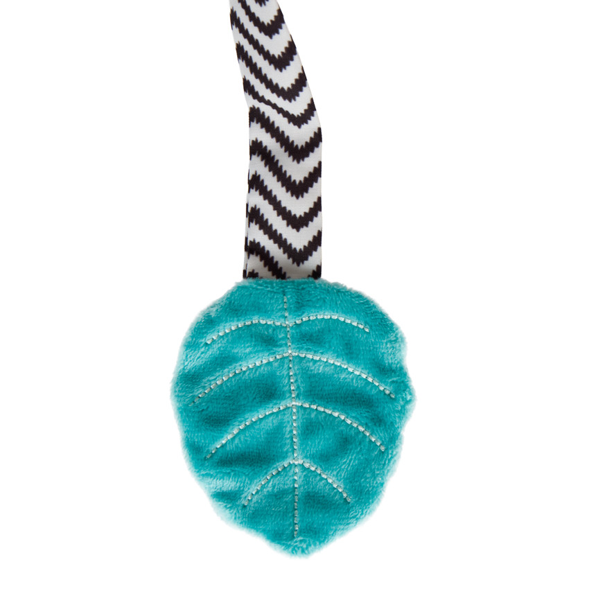 Espiral de actividades Sacha la tortuga 