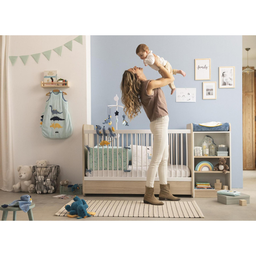 Doudou plano dinosaurio 