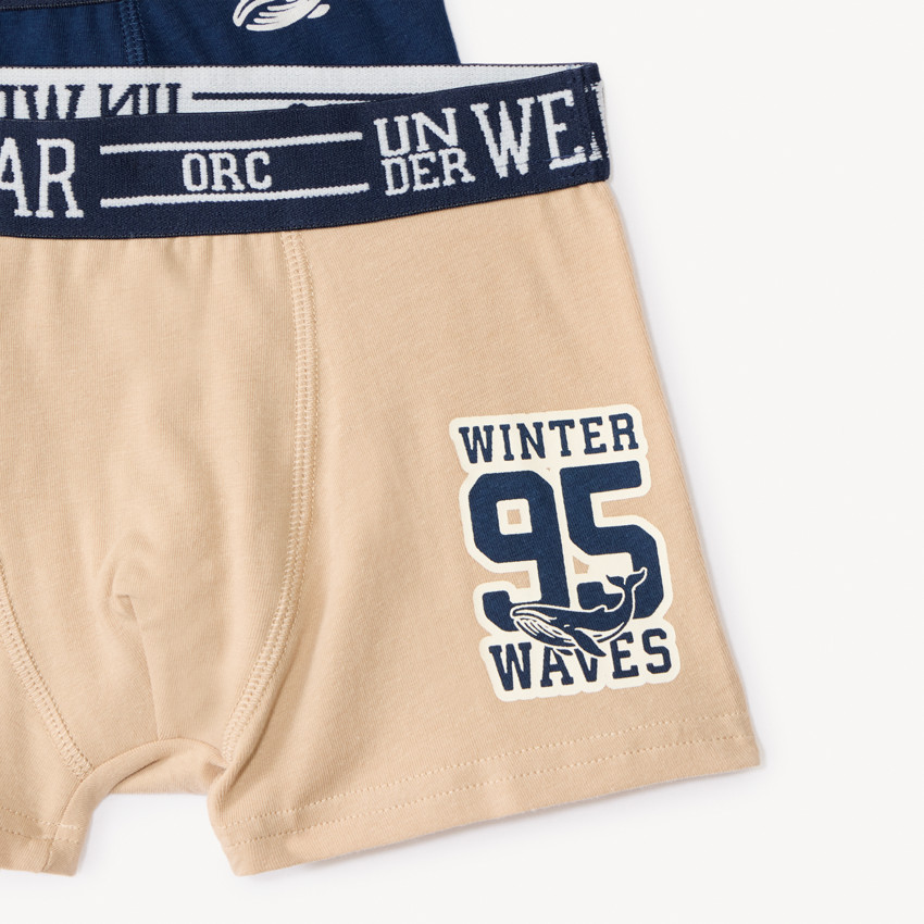 Lote de 5 bóxers fantasía para niño 