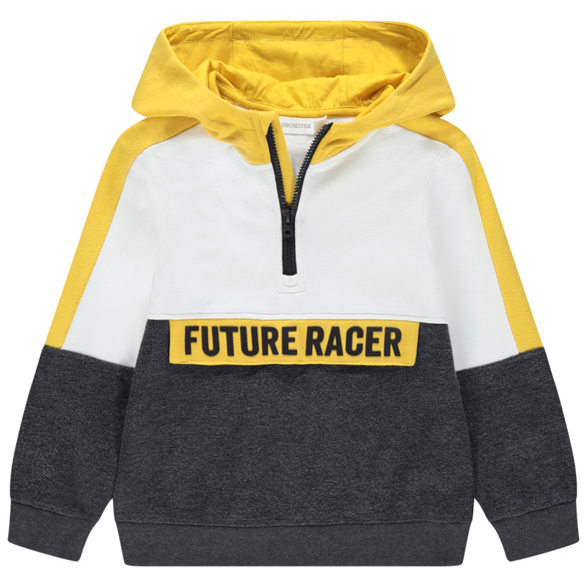 Sudadera tricolor con capucha 