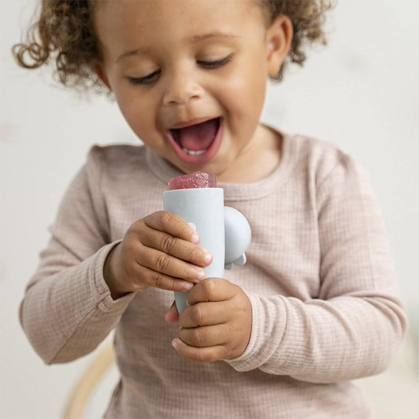 Moldes de silicona para helados x 3 Sheepy rosa 