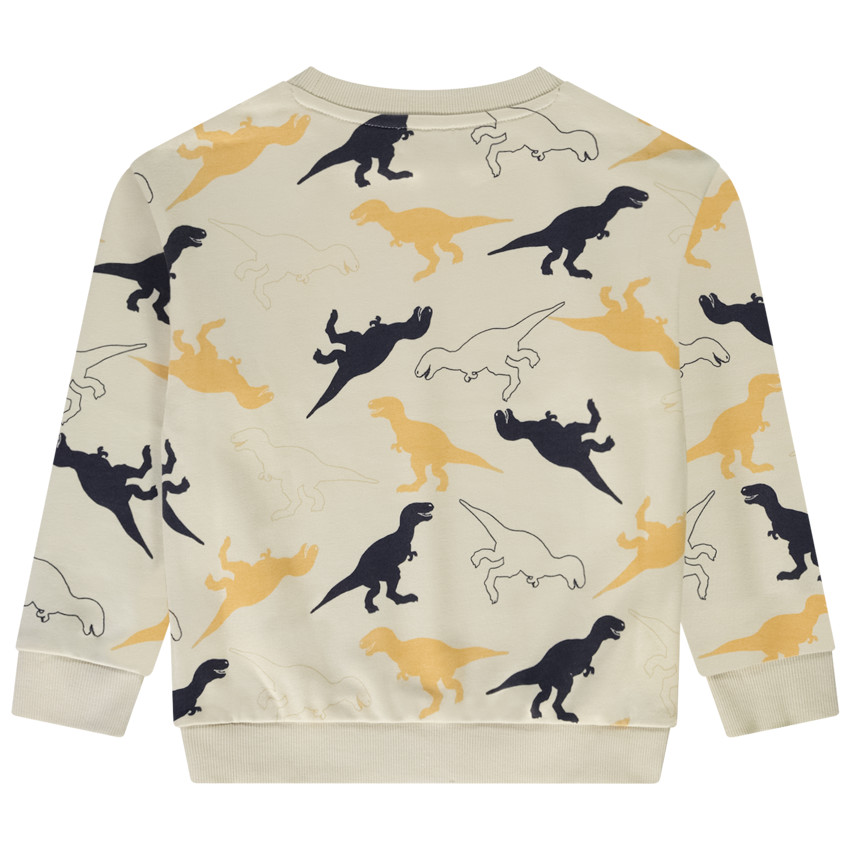 Sudadera con estampado de dinosaurios para niño 