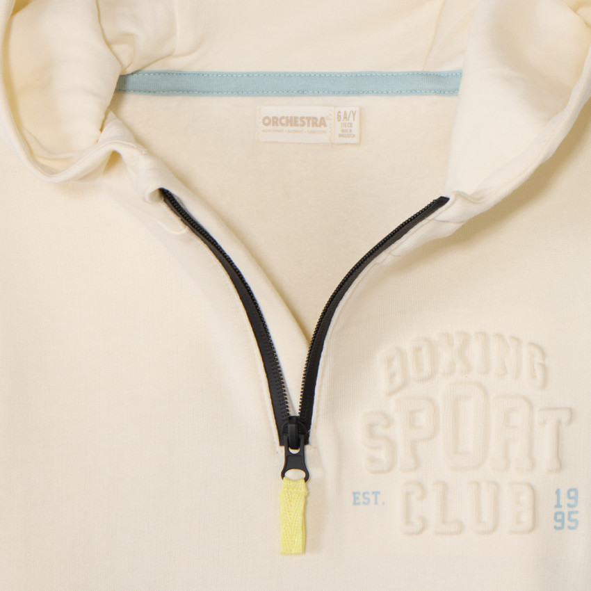 Sudadera con capucha efecto color block para niño 