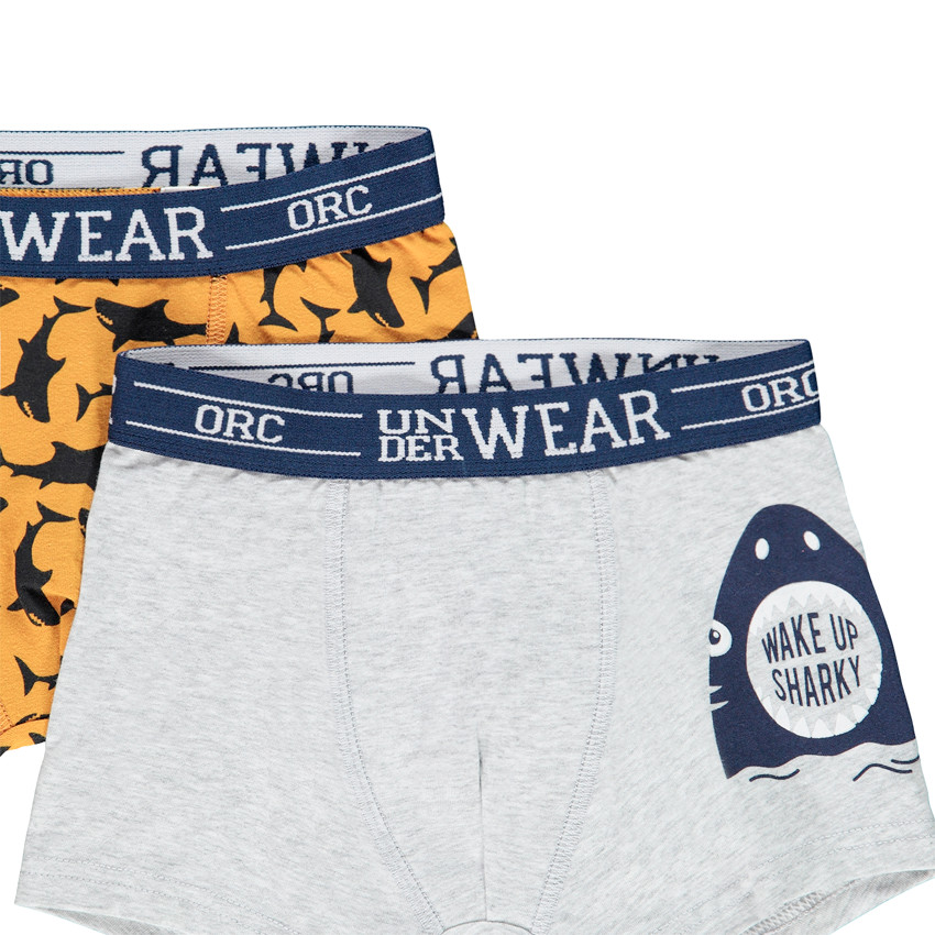 Pack 4 bóxers de algodón estampado fantasía 