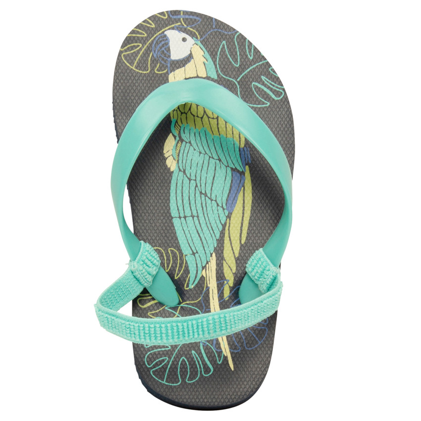 Tongs estampadas de loro para niño con tira según la edad 