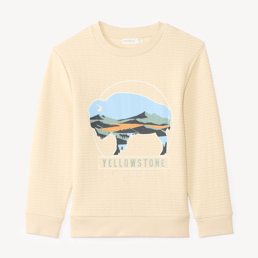 Sudadera para niño de punto texturizado y estampado divertido 