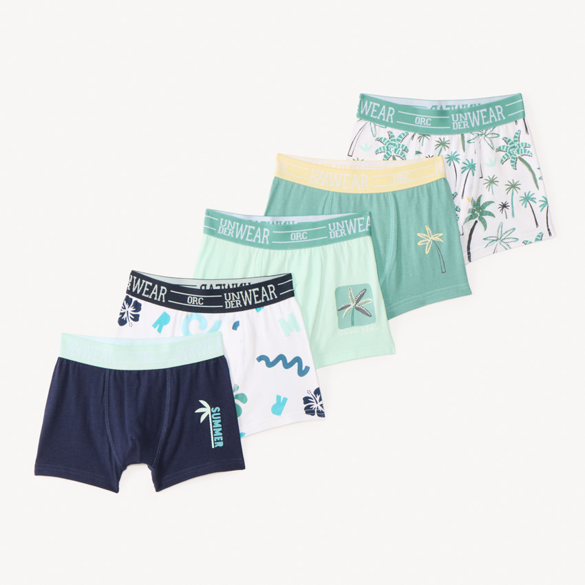 Conjunto de 5 boxers con estampado de palmeras para niño 
