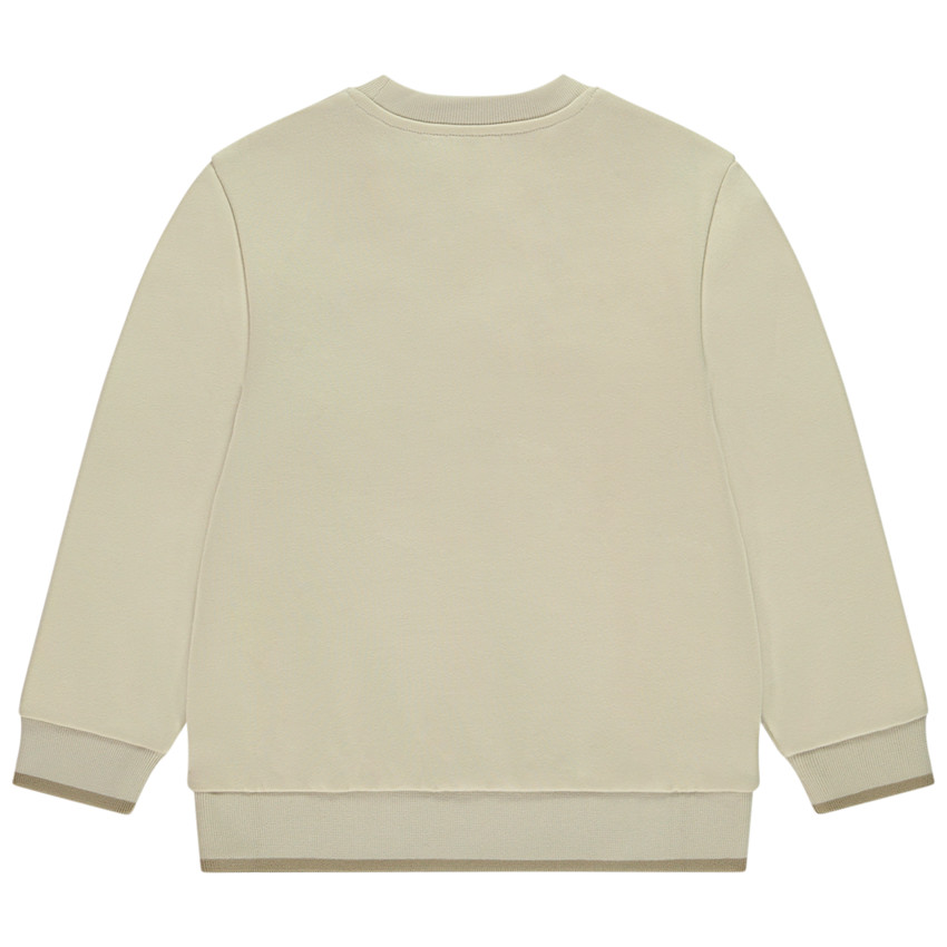 Sudadera de felpa con animal bordado estilo origami para niño 