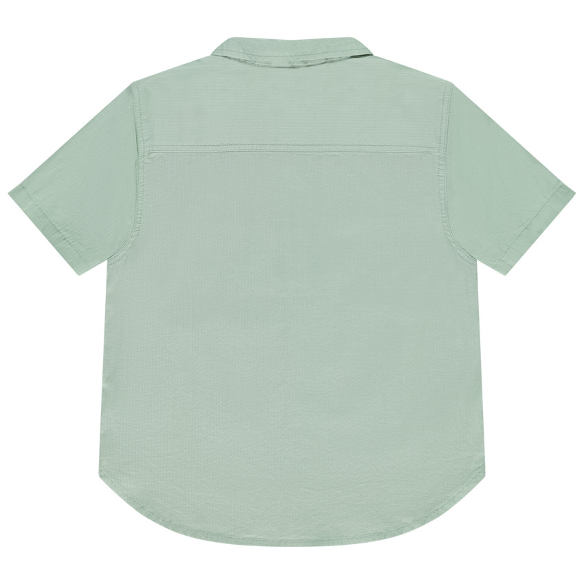 Camisa de manga corta con estampado de palmeras fantasía para niño 