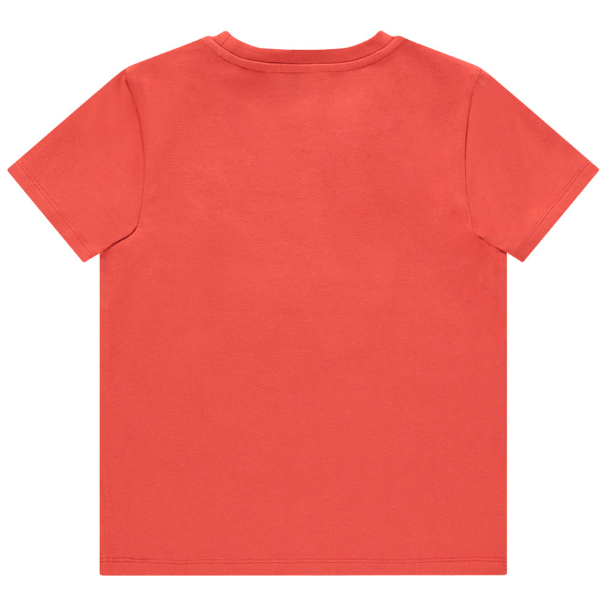 Camiseta manga corta print llama con gafas 