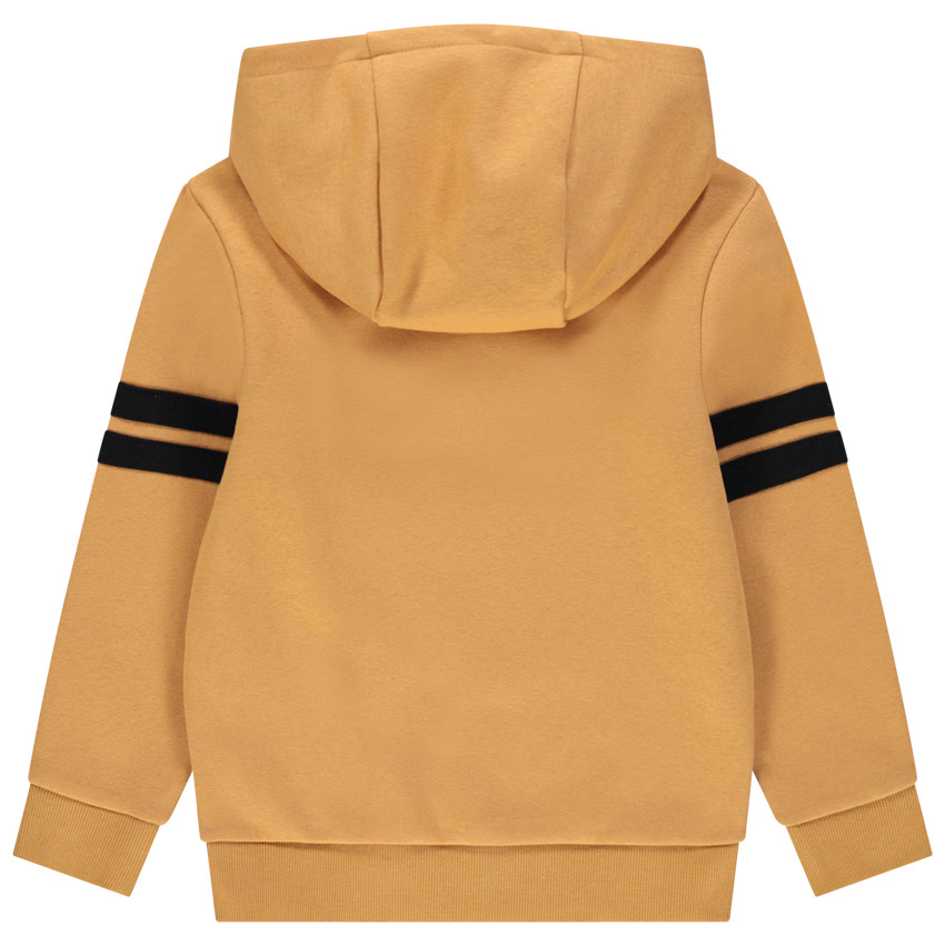 Sudadera con capucha en lana con print efecto terciopelo y bordado Smileyworld para niño 